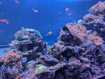 サンシャイン水族館に投稿された画像（2025/8/24）