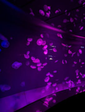 サンシャイン水族館に投稿された画像（2025/8/24）