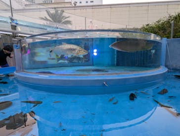 サンシャイン水族館に投稿された画像（2025/8/24）