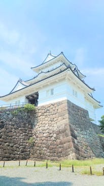 小田原城に投稿された画像（2025/8/24）