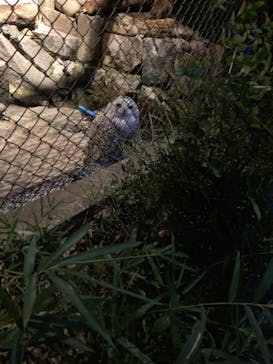 多摩動物公園に投稿された画像（2025/8/24）