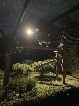 多摩動物公園に投稿された画像（2025/8/24）