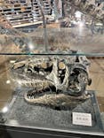 福井県立恐竜博物館に投稿された画像（2025/8/24）