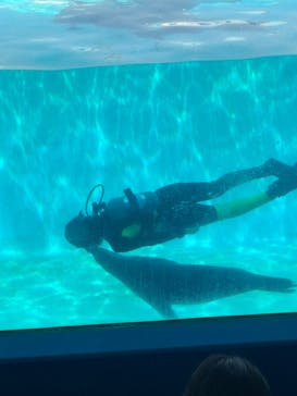 下田海中水族館に投稿された画像（2025/8/24）