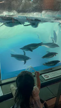 名古屋港水族館に投稿された画像（2025/8/24）