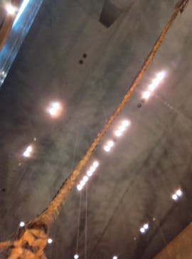 Ｂｏｎｅｓ２　ほねほね運動会　～はしる！とぶ！つかむ！～（いのちのたび博物館）に投稿された画像（2025/8/24）