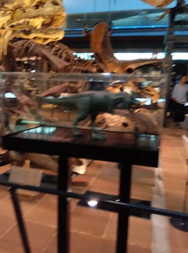 Ｂｏｎｅｓ２　ほねほね運動会　～はしる！とぶ！つかむ！～（いのちのたび博物館）に投稿された画像（2025/8/24）