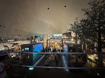 福井県立恐竜博物館に投稿された画像（2025/8/24）