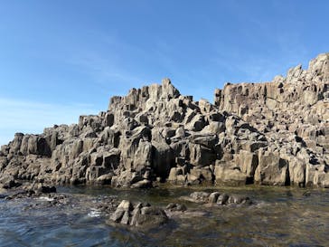 東尋坊観光遊覧船株式会社に投稿された画像（2025/8/24）