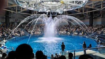 マクセル アクアパーク品川に投稿された画像（2025/8/24）