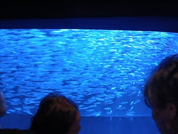 登別マリンパークニクスに投稿された画像（2025/8/24）