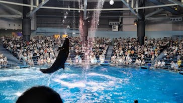 マクセル アクアパーク品川に投稿された画像（2025/8/24）