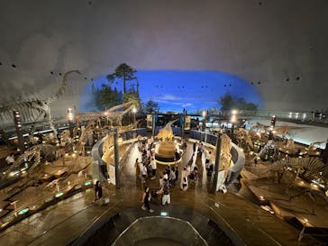 福井県立恐竜博物館に投稿された画像（2025/8/24）