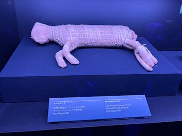 ACN ラムセス大王展 ファラオたちの黄金に投稿された画像（2025/8/24）