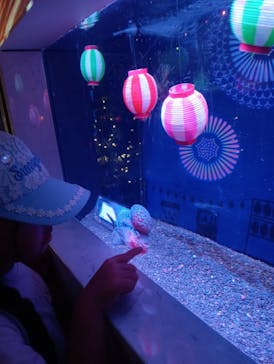 マクセル アクアパーク品川に投稿された画像（2025/8/24）