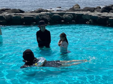 伊豆海洋公園磯プールに投稿された画像（2025/8/24）