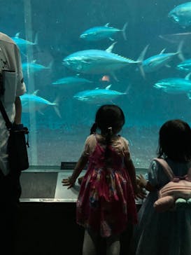 葛西臨海水族園に投稿された画像（2025/8/24）