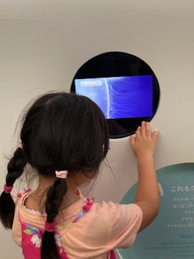 葛西臨海水族園に投稿された画像（2025/8/24）