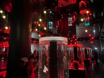 マクセル アクアパーク品川に投稿された画像（2025/8/24）