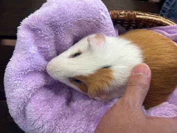 群馬サファリパークに投稿された画像（2025/8/24）