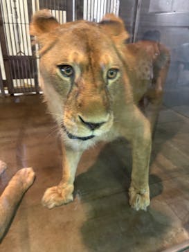 天王寺動物園に投稿された画像（2025/8/24）