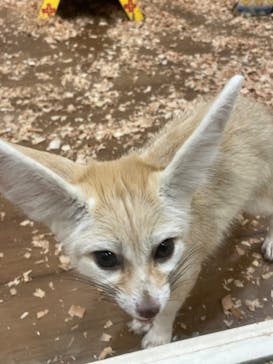 アニタッチみなとみらいに投稿された画像（2025/8/24）