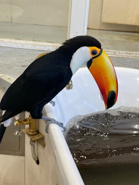 アニタッチみなとみらいに投稿された画像（2025/8/24）