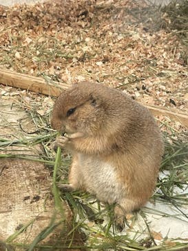 アニタッチみなとみらいに投稿された画像（2025/8/24）