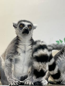 アニタッチみなとみらいに投稿された画像（2025/8/24）