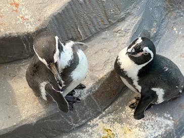 南知多ビーチランド＆南知多おもちゃ王国に投稿された画像（2025/8/24）