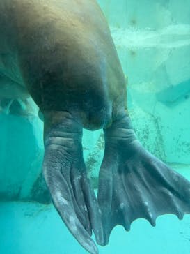 南知多ビーチランド＆南知多おもちゃ王国に投稿された画像（2025/8/24）