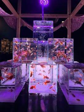 南知多ビーチランド＆南知多おもちゃ王国に投稿された画像（2025/8/24）