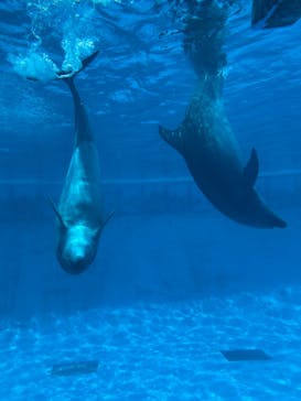 南知多ビーチランド＆南知多おもちゃ王国に投稿された画像（2025/8/24）