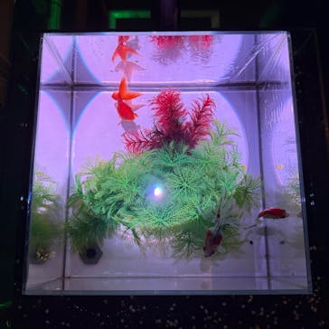 南知多ビーチランド＆南知多おもちゃ王国に投稿された画像（2025/8/24）