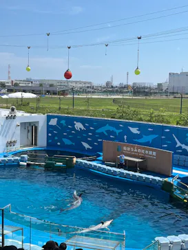 仙台うみの杜水族館に投稿された画像（2025/8/24）