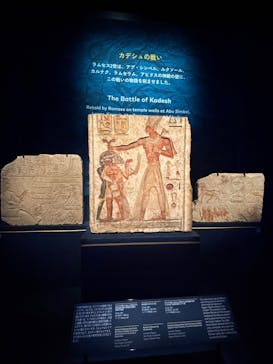 ACN ラムセス大王展 ファラオたちの黄金に投稿された画像（2025/8/24）