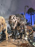 福井県立恐竜博物館に投稿された画像（2025/8/24）