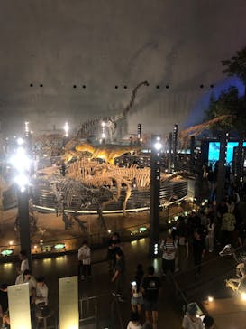 福井県立恐竜博物館に投稿された画像（2025/8/24）