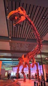 巨大恐竜展2025に投稿された画像（2025/8/24）