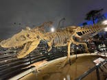 福井県立恐竜博物館に投稿された画像（2025/8/24）