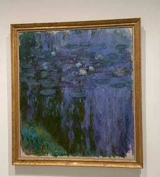 モネ 睡蓮のとき（豊田会場）に投稿された画像（2025/8/24）