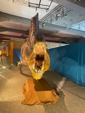 巨大恐竜展2025に投稿された画像（2025/8/24）