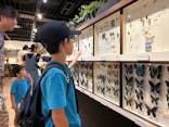 体感するファーブル昆虫展in横浜赤レンガ倉庫に投稿された画像（2025/8/24）