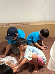 体感するファーブル昆虫展in横浜赤レンガ倉庫に投稿された画像（2025/8/24）