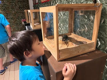 体感するファーブル昆虫展in横浜赤レンガ倉庫に投稿された画像（2025/8/24）