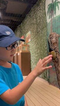 体感するファーブル昆虫展in横浜赤レンガ倉庫に投稿された画像（2025/8/24）