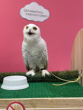 アニタッチららぽーと名古屋みなとアクルスに投稿された画像（2025/8/24）