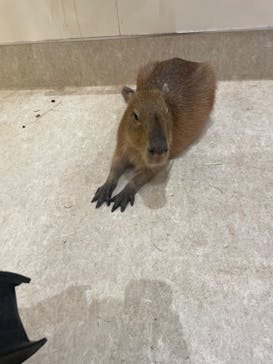 アニタッチららぽーと名古屋みなとアクルスに投稿された画像（2025/8/24）