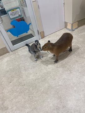 アニタッチららぽーと名古屋みなとアクルスに投稿された画像（2025/8/24）