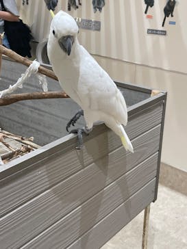 アニタッチららぽーと名古屋みなとアクルスに投稿された画像（2025/8/24）